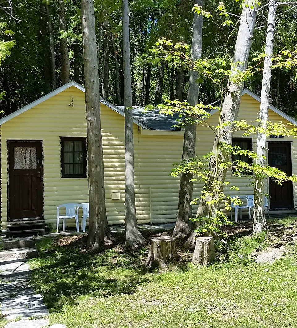 A cottage in a forested area